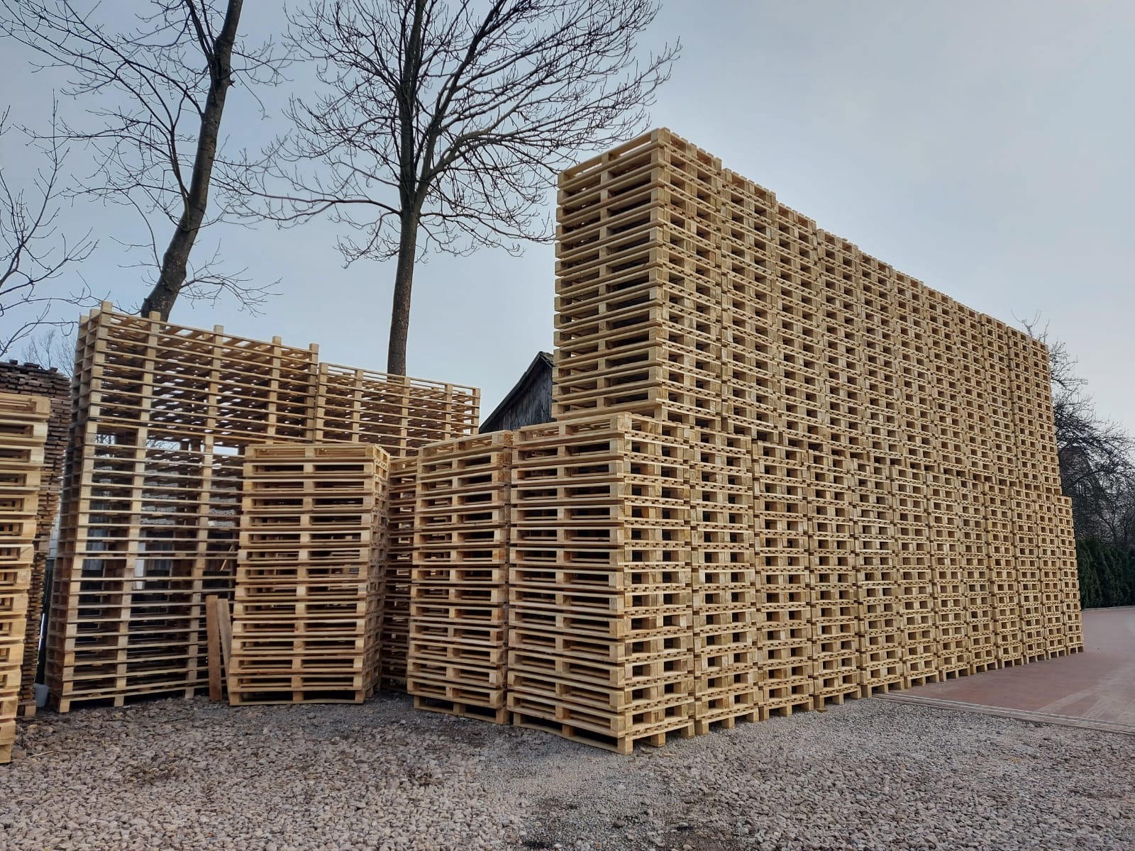 Stosy jasnych, drewnianych palet ułożone na żwirowym podłożu, z nagimi drzewami w tle i fragmentem budynku w oddali.