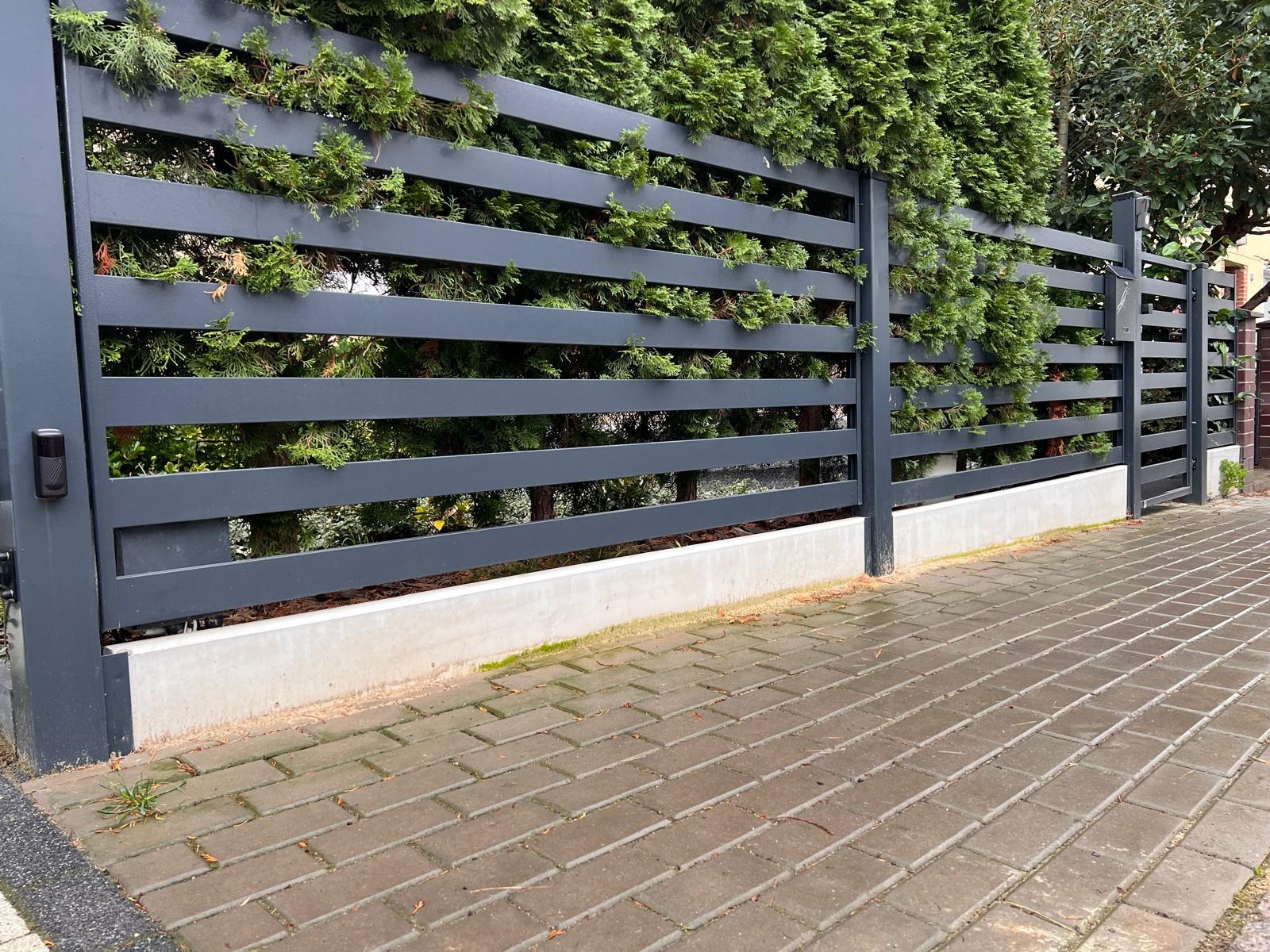 Nowoczesne, poziome, szare ogrodzenie z metalowych paneli, częściowo porośnięte zielonymi krzewami, osadzone na betonowej podmurówce, przylegające do chodnika z kostki brukowej.