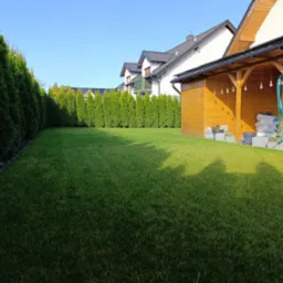 Rozległy, zadbany trawnik z równo przyciętą trawą, otoczony szpalerem wysokich, gęstych tuj, z widocznym fragmentem domu i drewnianej altany z wiszącymi żarówkami, sugerujący regularne nawadnianie...
