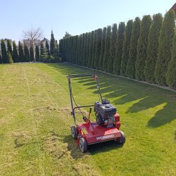 Wertykulacja trawników