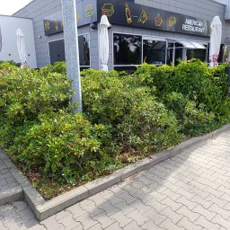 Ogrody Perfecto - Zadbana zieleń przed restauracją z neonami fast food. Krzewy i pnącza tworzą zielony żywopłot wzdłuż chodnika. Widoczne parasole i flagi.