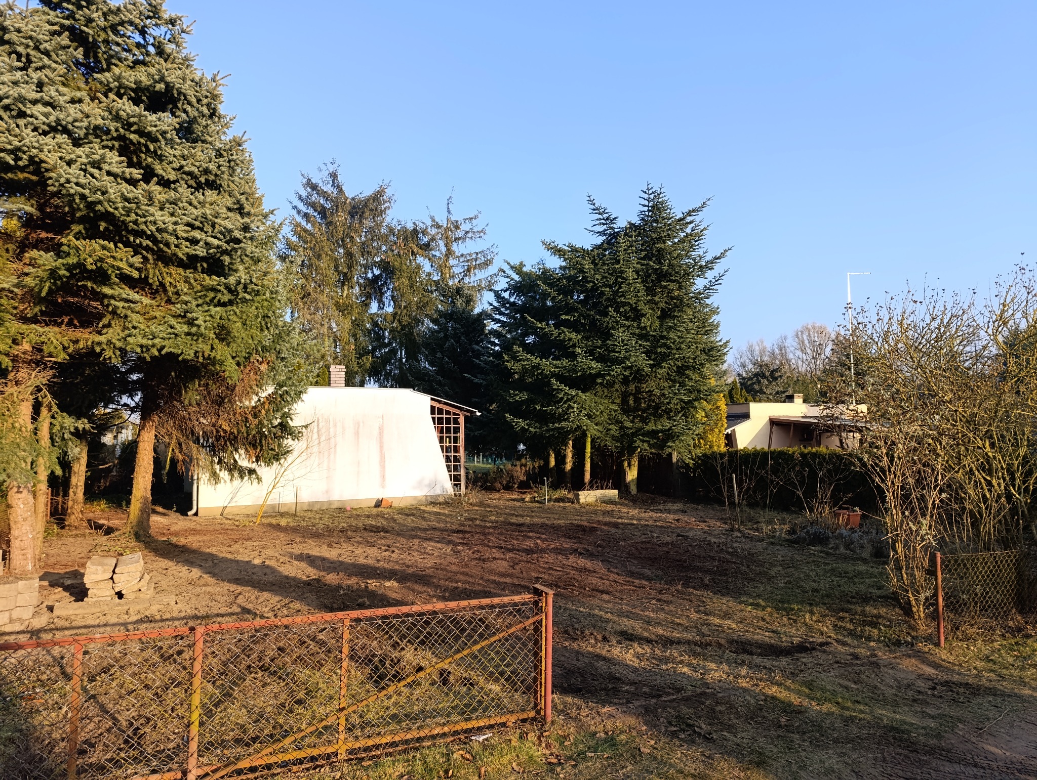 Przygotowany teren pod trawnik z widoczną, starą, rdzawą siatką ogrodzeniową, stertą betonowych bloczków i budynkiem gospodarczym w tle, otoczony drzewami iglastymi.
