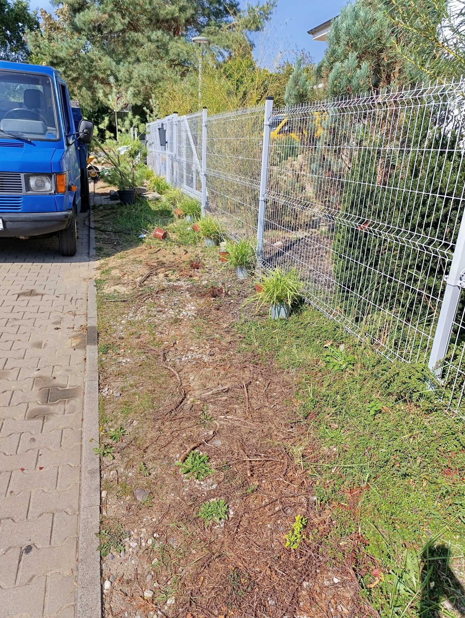 Przygotowanie terenu pod nasadzenia wzdłuż ogrodzenia z siatki, widoczny niebieski samochód dostawczy i doniczki z roślinami.