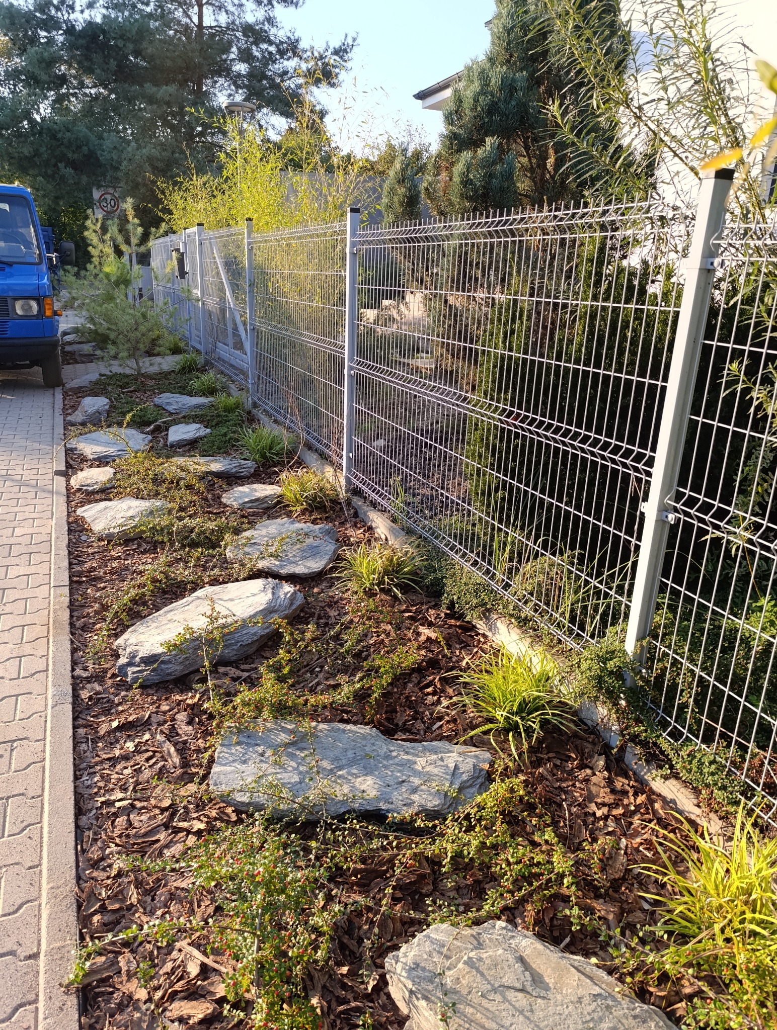 Ścieżka z nieregularnych, szarych kamieni w ogrodzie, obłożona korą, z młodymi roślinami ozdobnymi, oddzielona metalową siatką od trawnika, z boku zaparkowany niebieski samochód dostawczy.