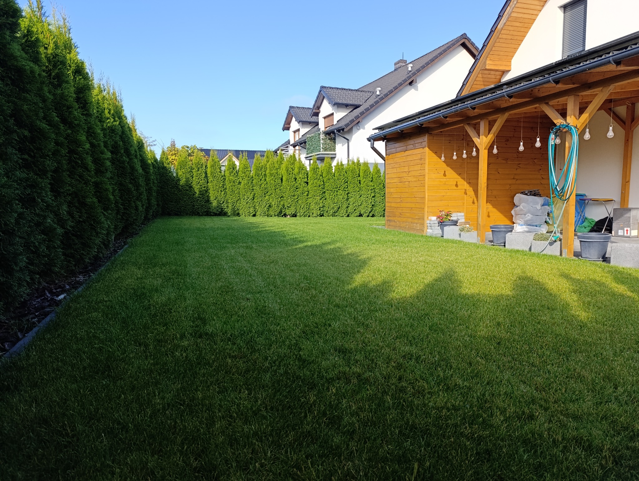 Rozległy, zadbany trawnik z równo przyciętą trawą, otoczony szpalerem wysokich, gęstych tuj, z widocznym fragmentem domu i drewnianej altany z wiszącymi żarówkami, sugerujący regularne nawadnianie...