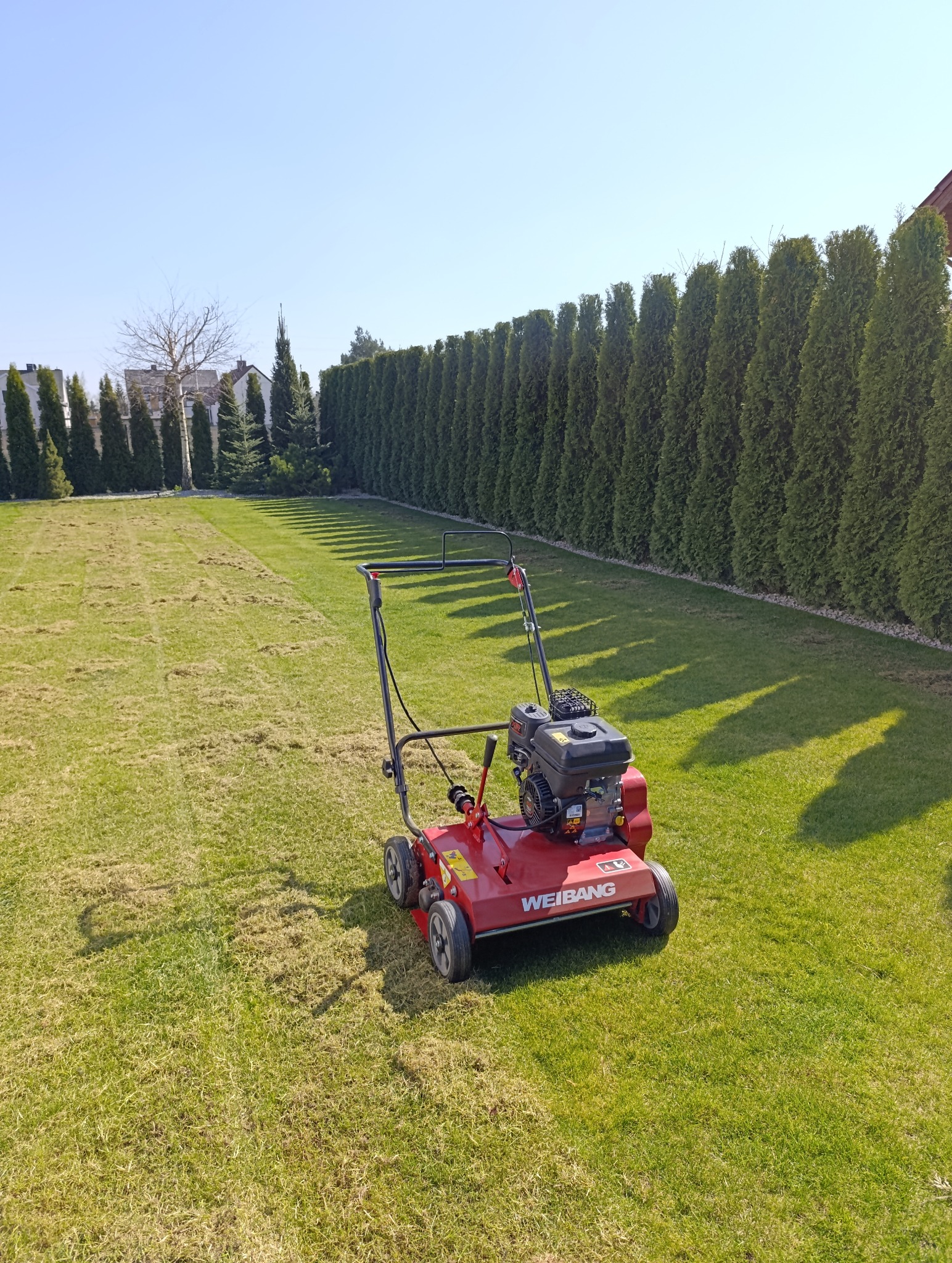 Wertykulacja trawników