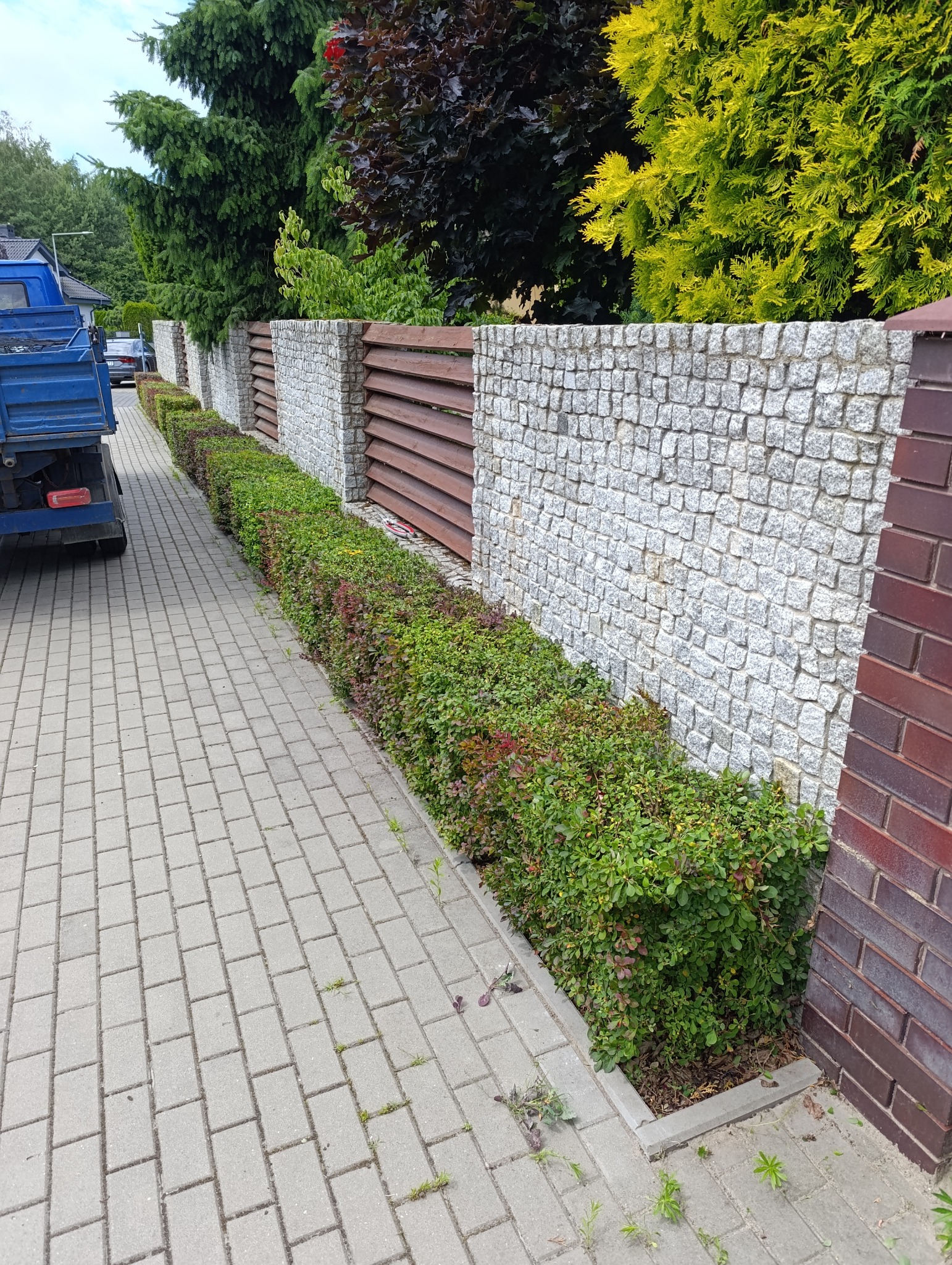Ogród z niskim żywopłotem wzdłuż kamiennego muru z drewnianymi przęsłami, widok z poziomu chodnika. Fragment niebieskiej ciężarówki po lewej.
