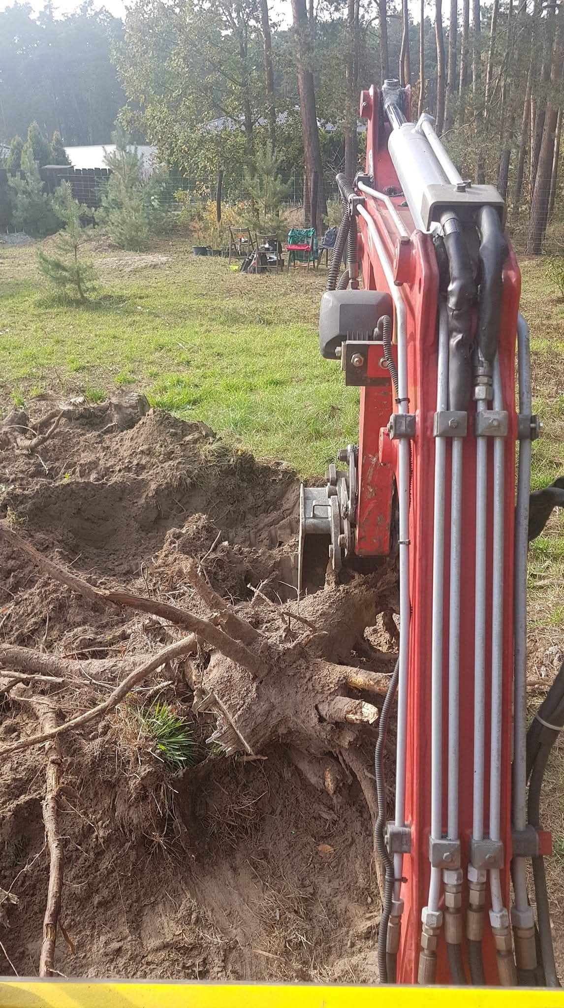 Czerwony minikoparka usuwa korzenie drzewa z ziemi na zewnątrz. W tle widoczne drzewa i trawa. Prace ziemne w ogrodzie.