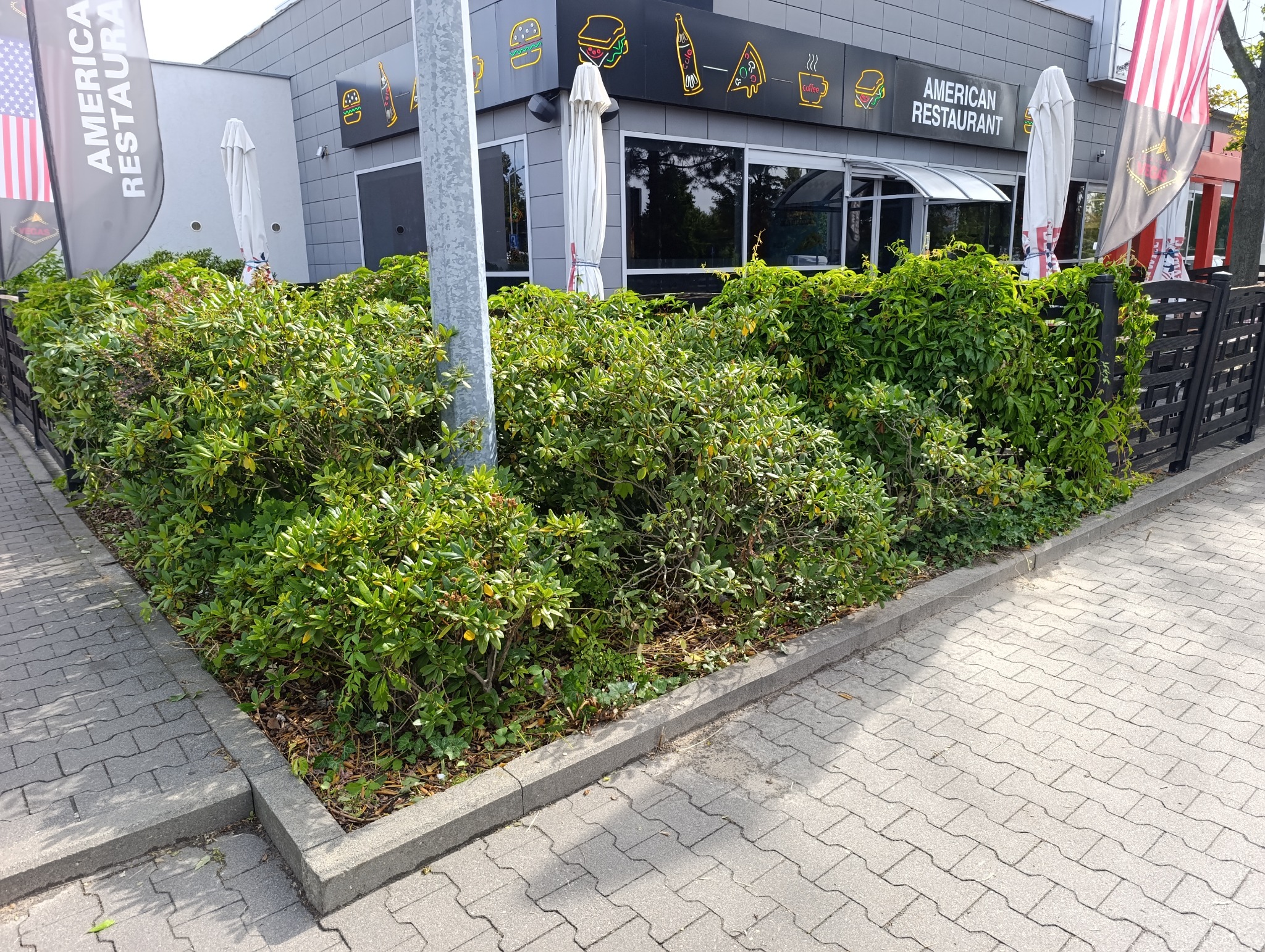 Zadbana zieleń przed restauracją z neonami fast food. Krzewy i pnącza tworzą zielony żywopłot wzdłuż chodnika. Widoczne parasole i flagi.