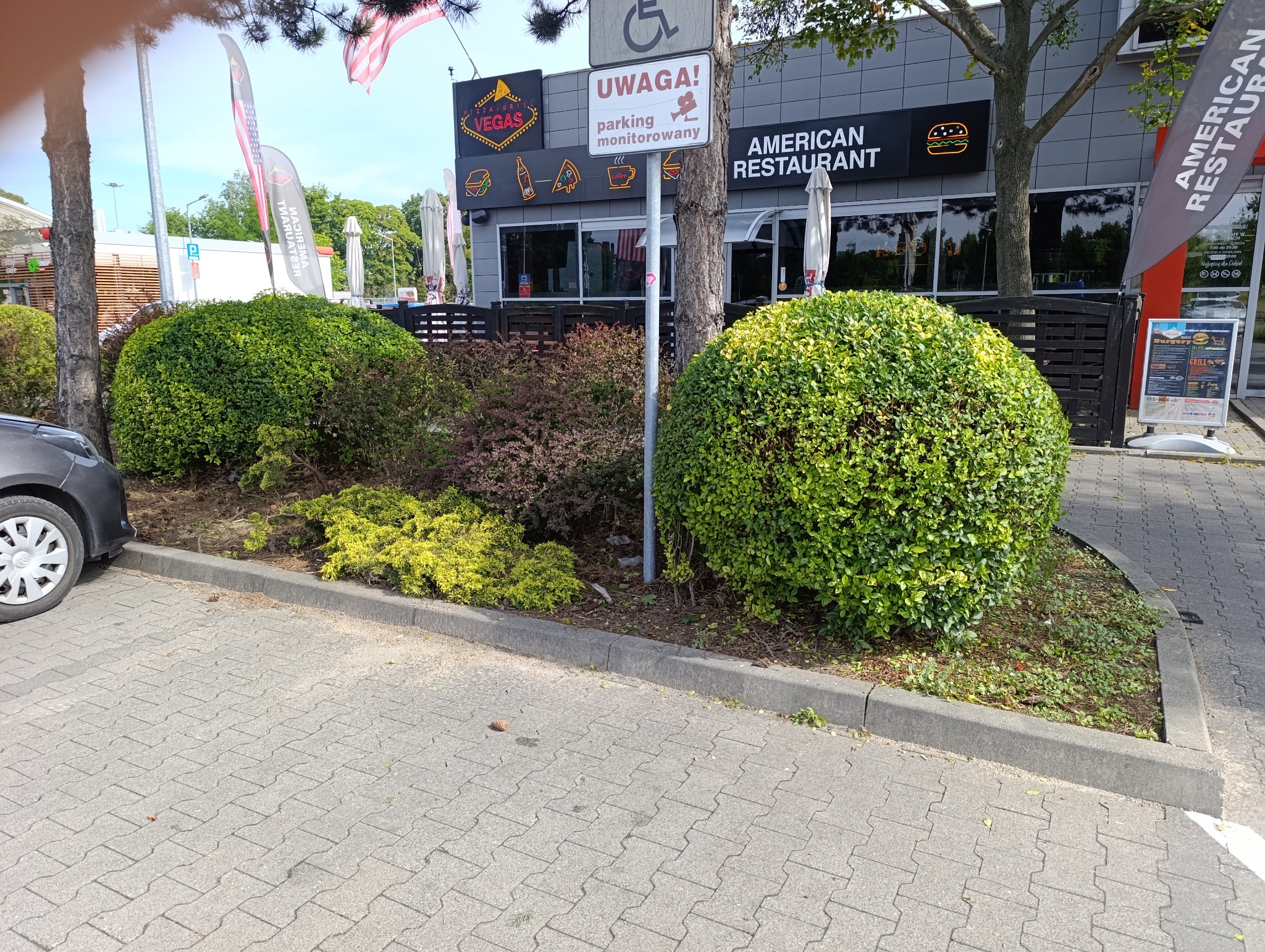 Kształtne, kuliste krzewy przed restauracją Vegas i American Restaurant. Różnorodna roślinność, kostka brukowa i fragment samochodu w kadrze.