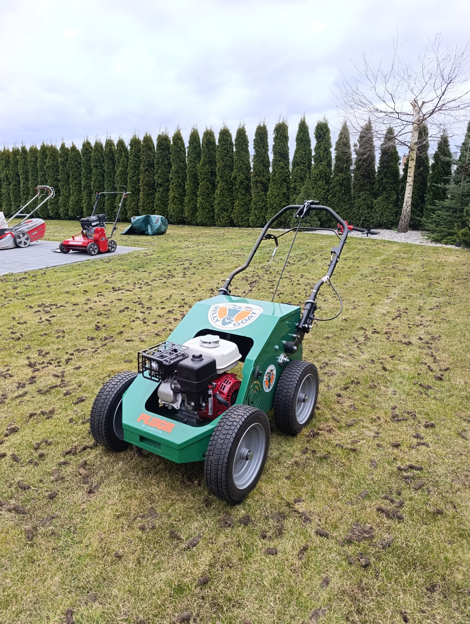 Aerator do trawy Billy Goat na trawniku po aeracji. W tle rząd tuj i inne kosiarki. Widoczne małe grudki ziemi na trawie po zabiegu aeracji.