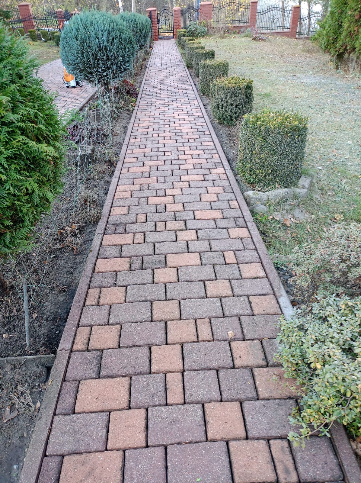 Długa ścieżka z kostki brukowej w odcieniach brązu i beżu, obramowana szarym betonem, prowadząca przez ogród z równo przyciętymi krzewami i tujami.