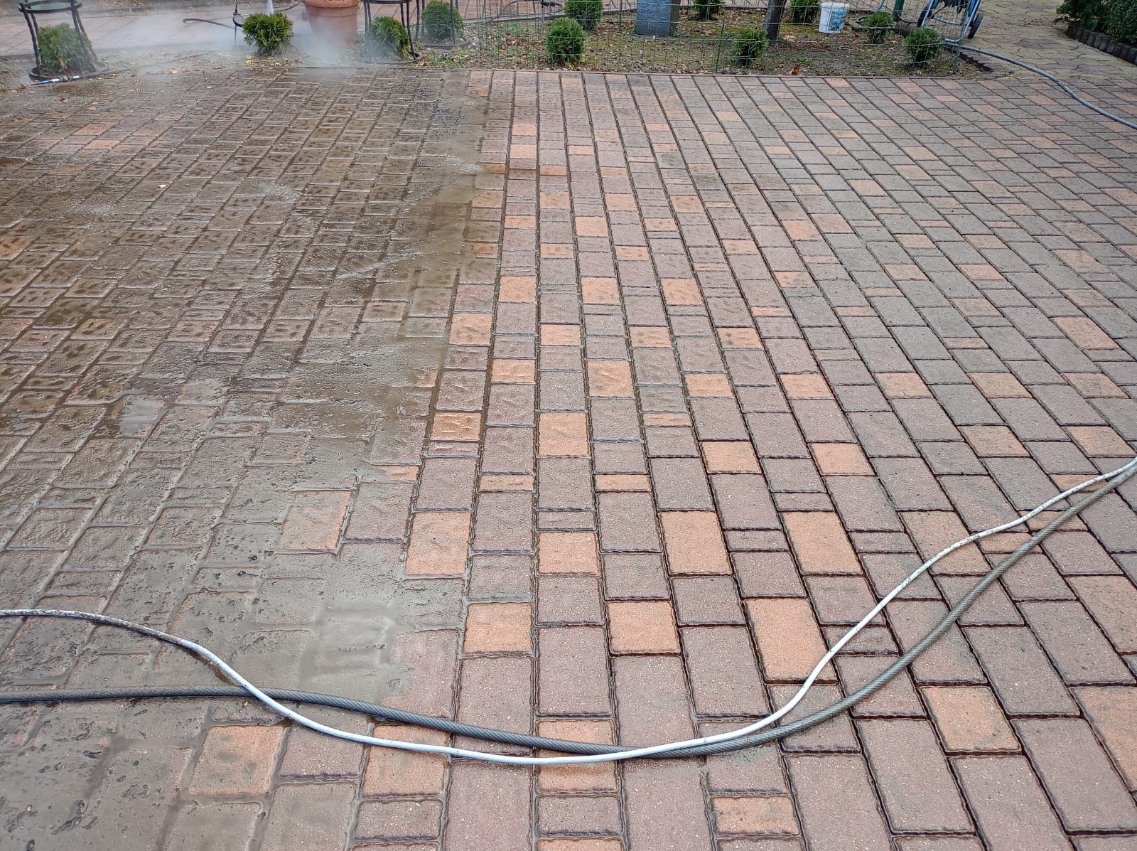 Częściowo wyczyszczona kostka brukowa, widoczna różnica w kolorze i stopniu zabrudzenia, z przewodami węży na pierwszym planie i roślinnością w tle.