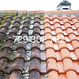 Roman Horun - Częściowo oczyszczony dach z ceramicznej dachówki, lewa strona pokryta mchem i zabrudzeniami, prawa strona po czyszczeniu, widoczny komin w tle.