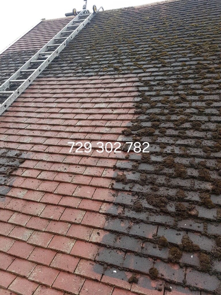 Częściowo oczyszczony dach z czerwonej dachówki, widoczna różnica między pokrytą mchem i brudem powierzchnią a czystą, z drabiną na górze.