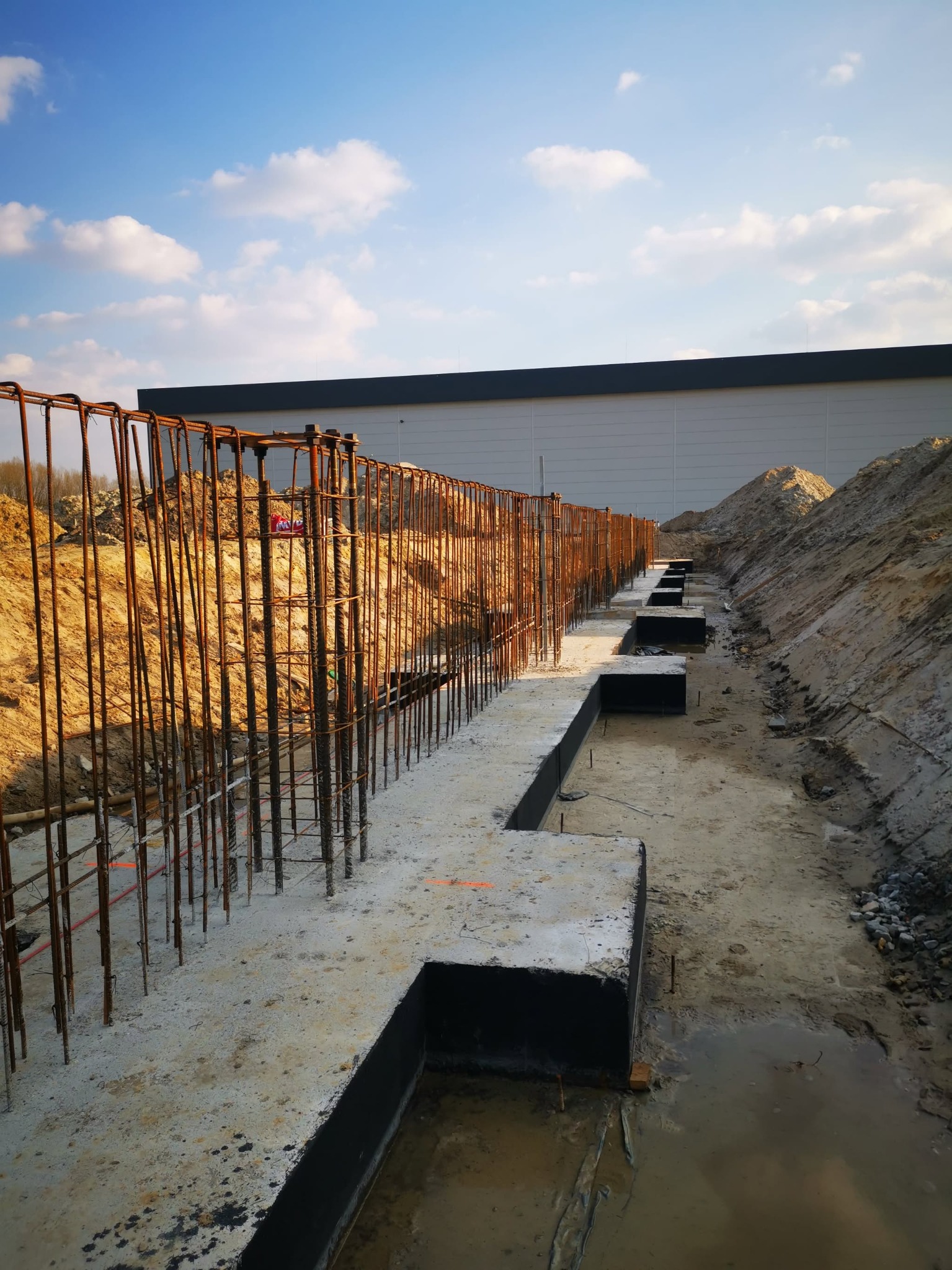 Zbrojenie fundamentów pod budynek przemysłowy. Widoczne stalowe pręty i betonowe ławy fundamentowe w wykopie. W tle hala przemysłowa i błękitne niebo.