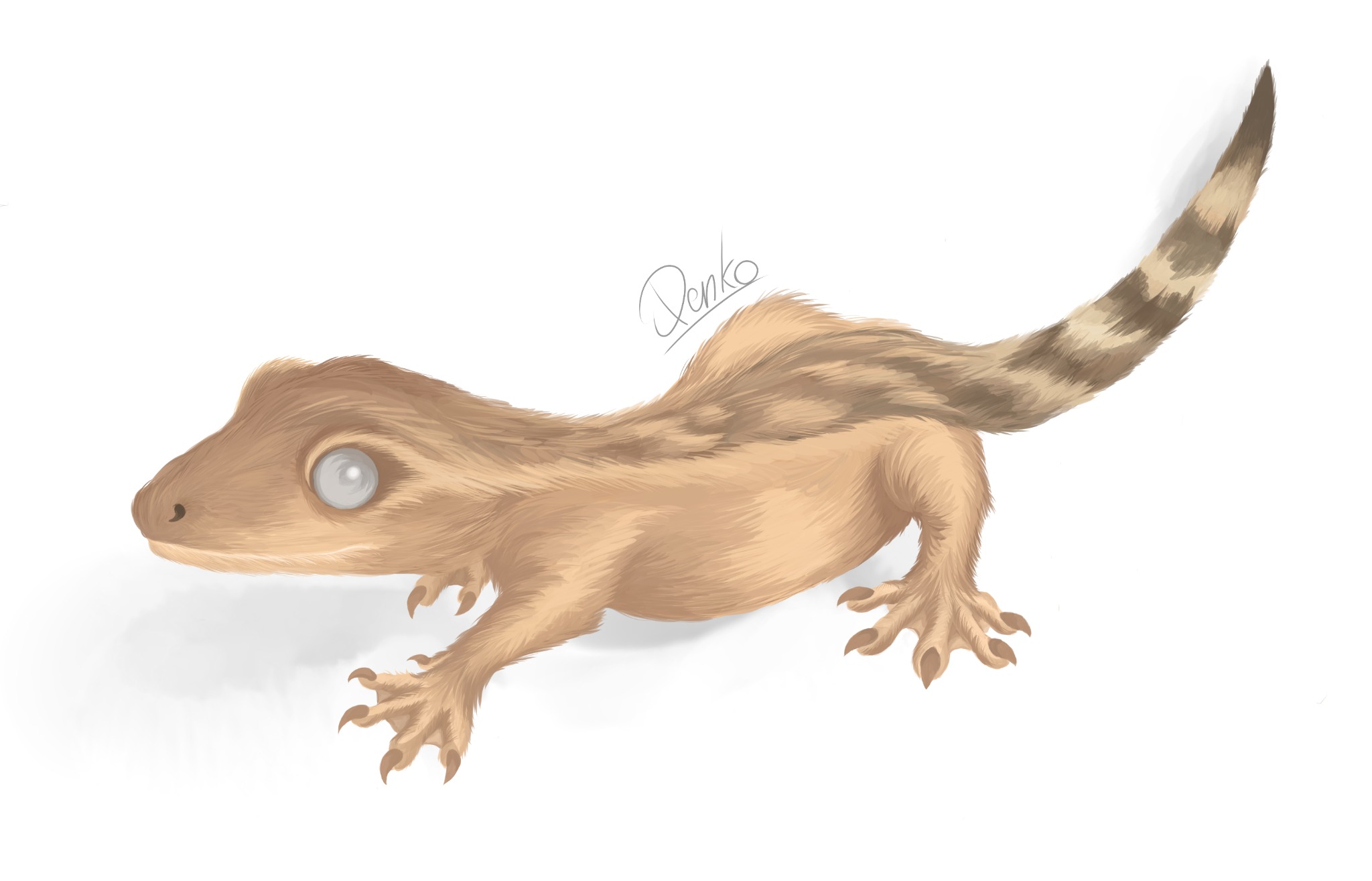 Cyfrowa ilustracja beżowego gekona z prążkowanym ogonem na białym tle, podpisana 'Denko'.
