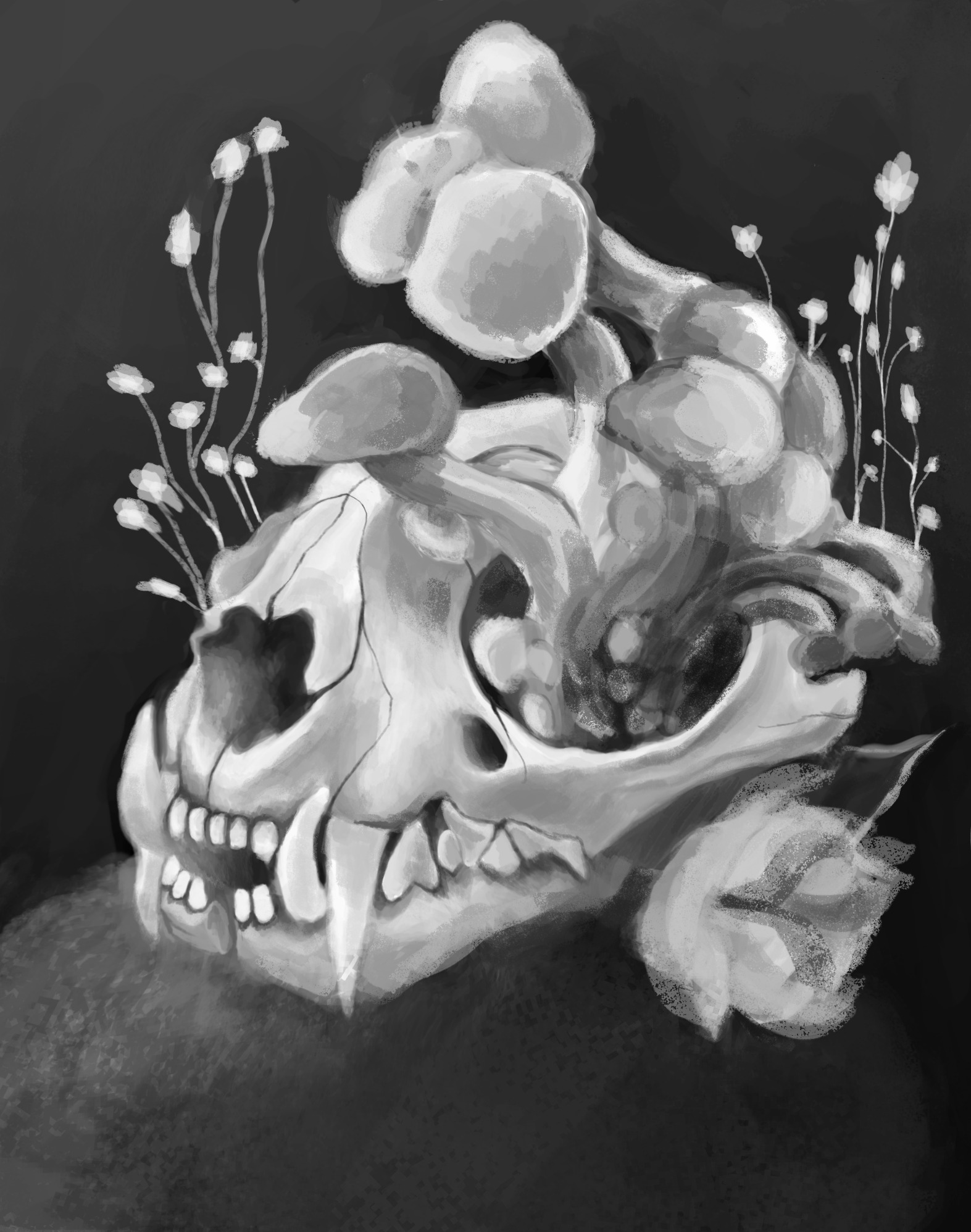 Cyfrowy czarno-biały rysunek czaszki zwierzęcia z wyrastającymi z niej grzybami i delikatnymi kwiatami na ciemnym tle.