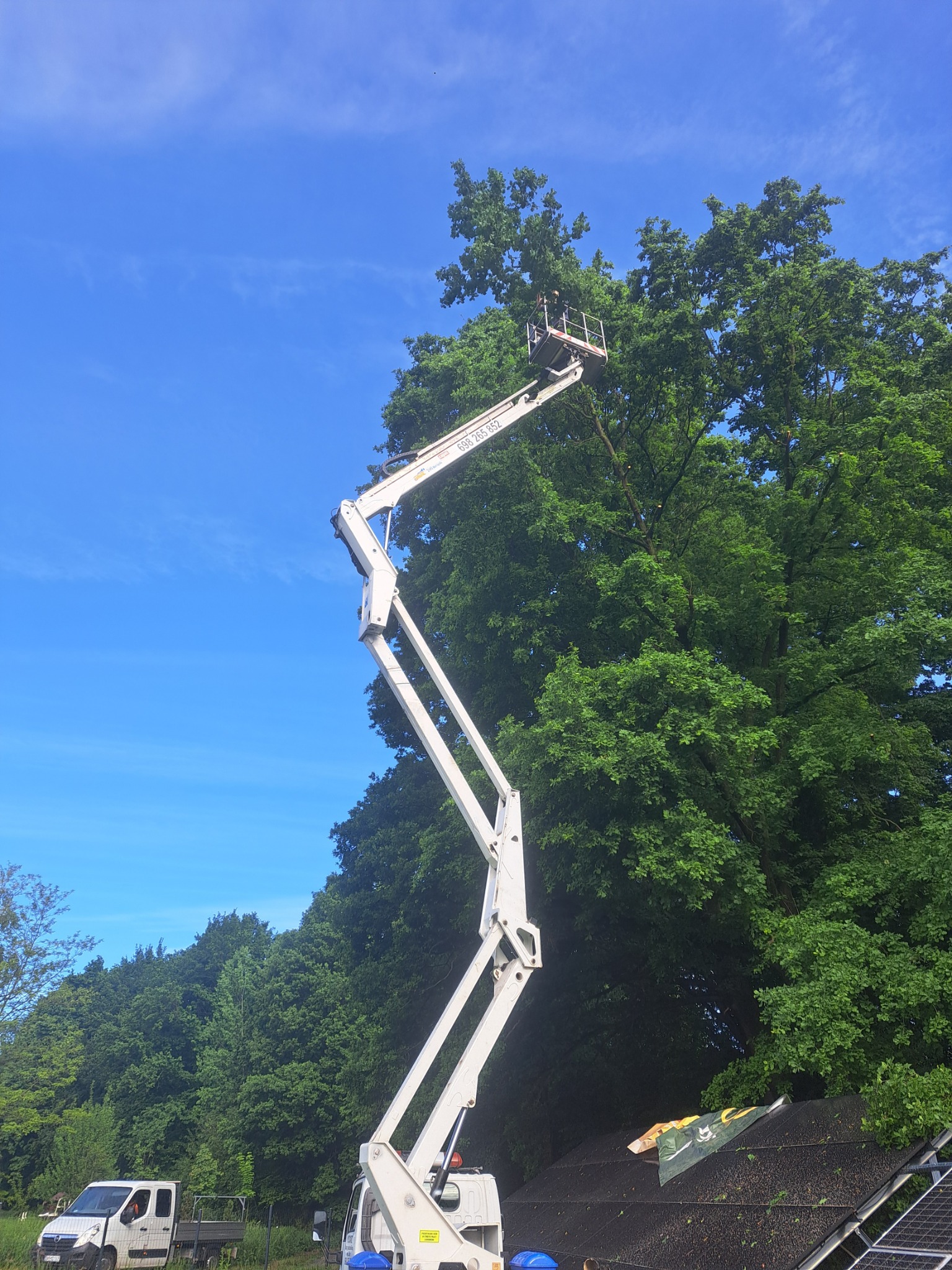 Podnośnik koszowy sięga korony drzewa podczas przycinania gałęzi na tle błękitnego nieba. Widoczny zielony krajobraz i pojazdy firmy.