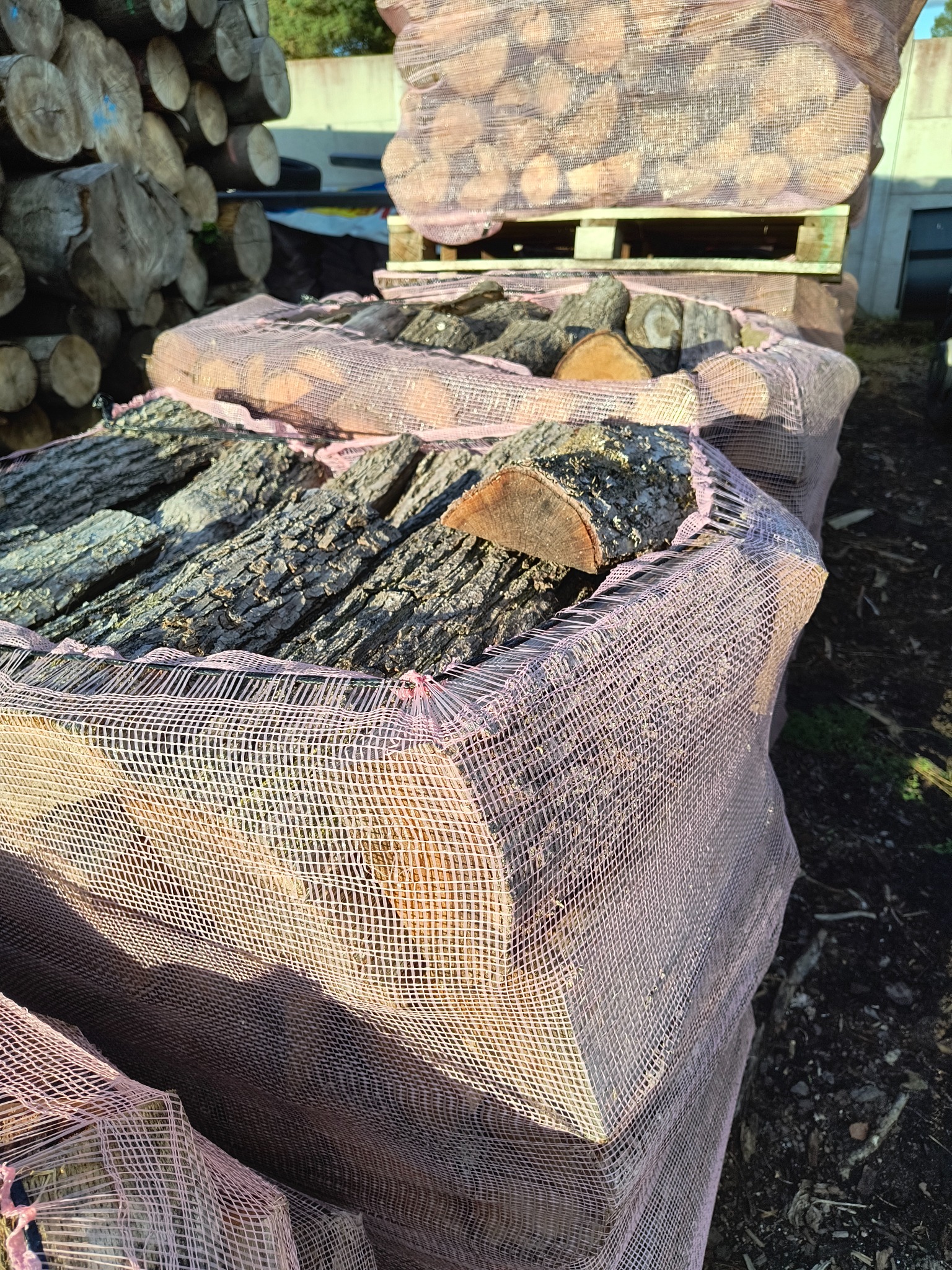 Ułożone worki z pociętymi kawałkami drewna, częściowo zasłonięte siatką w kolorze różowym, widoczne pęknięcia na korze