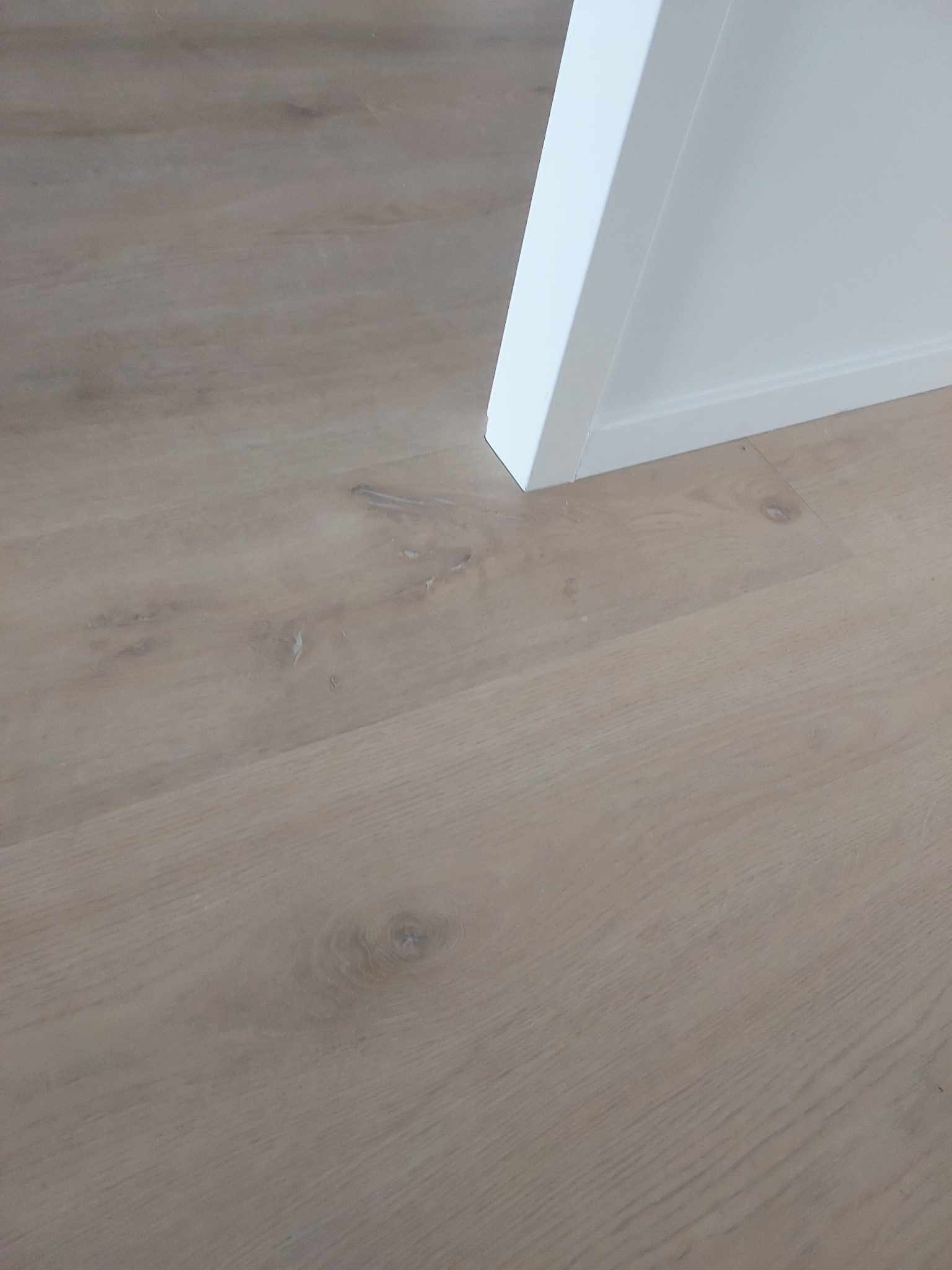 Jasne panele podłogowe z widoczną strukturą drewna i białą listwą przypodłogową przy ścianie, ułożone pod kątem.