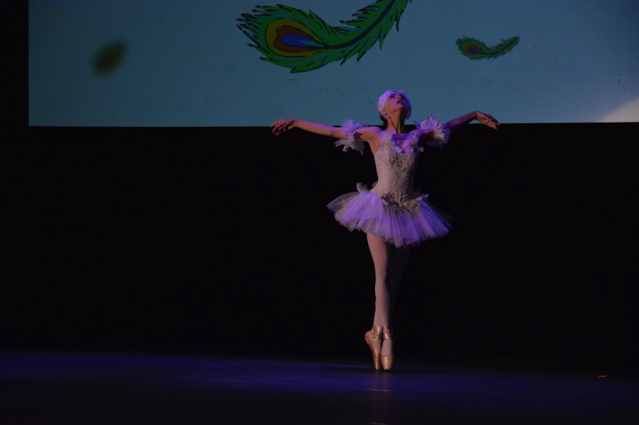 Baletnica w białym stroju tanecznym na scenie w Częstochowie, z projekcją piór pawich w tle, wykonuje taniec klasyczny.