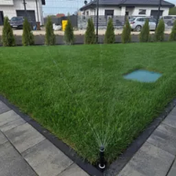 Zraszacze nawadniające trawnik przy posesji z kostką brukową i tujami. W tle dom z szarą elewacją i ogrodzenie z siatki.