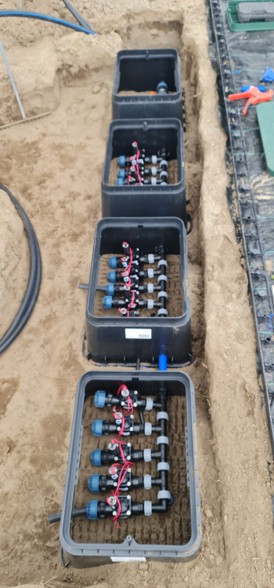 Rów z czarnymi skrzynkami zawierającymi elementy instalacji nawadniającej z niebieskimi końcówkami i czerwonymi przewodami. Widok z góry.