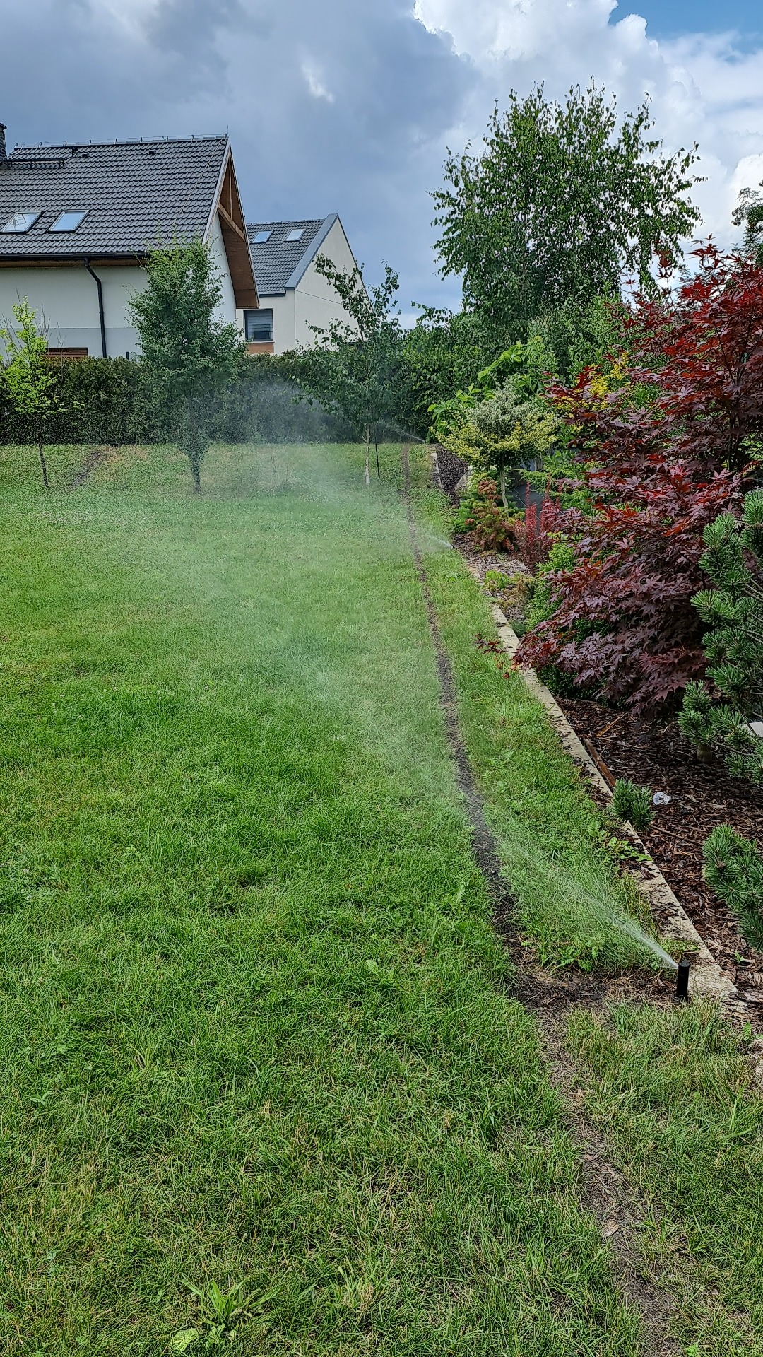 Automatyczne nawadnianie trawnika w ogrodzie z domem w tle. Zraszacze rozpylają wodę, tworząc delikatną mgiełkę nad zieloną trawą. Widoczne drzewa i krzewy.