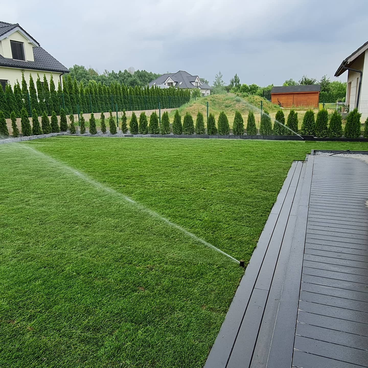 Zraszacze nawadniające intensywnie zielony trawnik przed domem z tujami, w tle zabudowa jednorodzinna i pochmurne niebo.