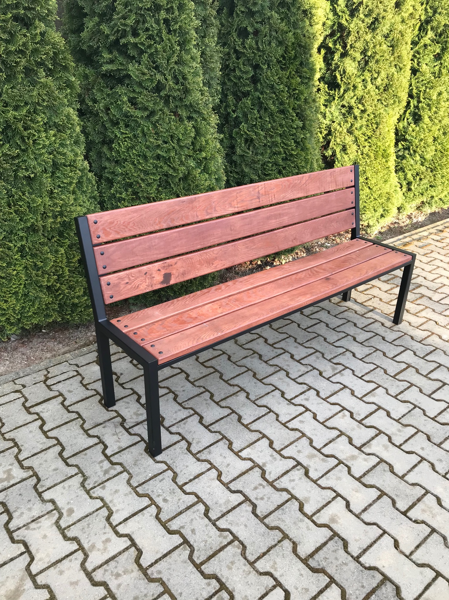 Nowoczesna ławka parkowa z jesionowymi deskami w kolorze ciemnego orzecha i czarną metalową konstrukcją, ustawiona na brukowanym chodniku przed rzędem zielonych krzewów.