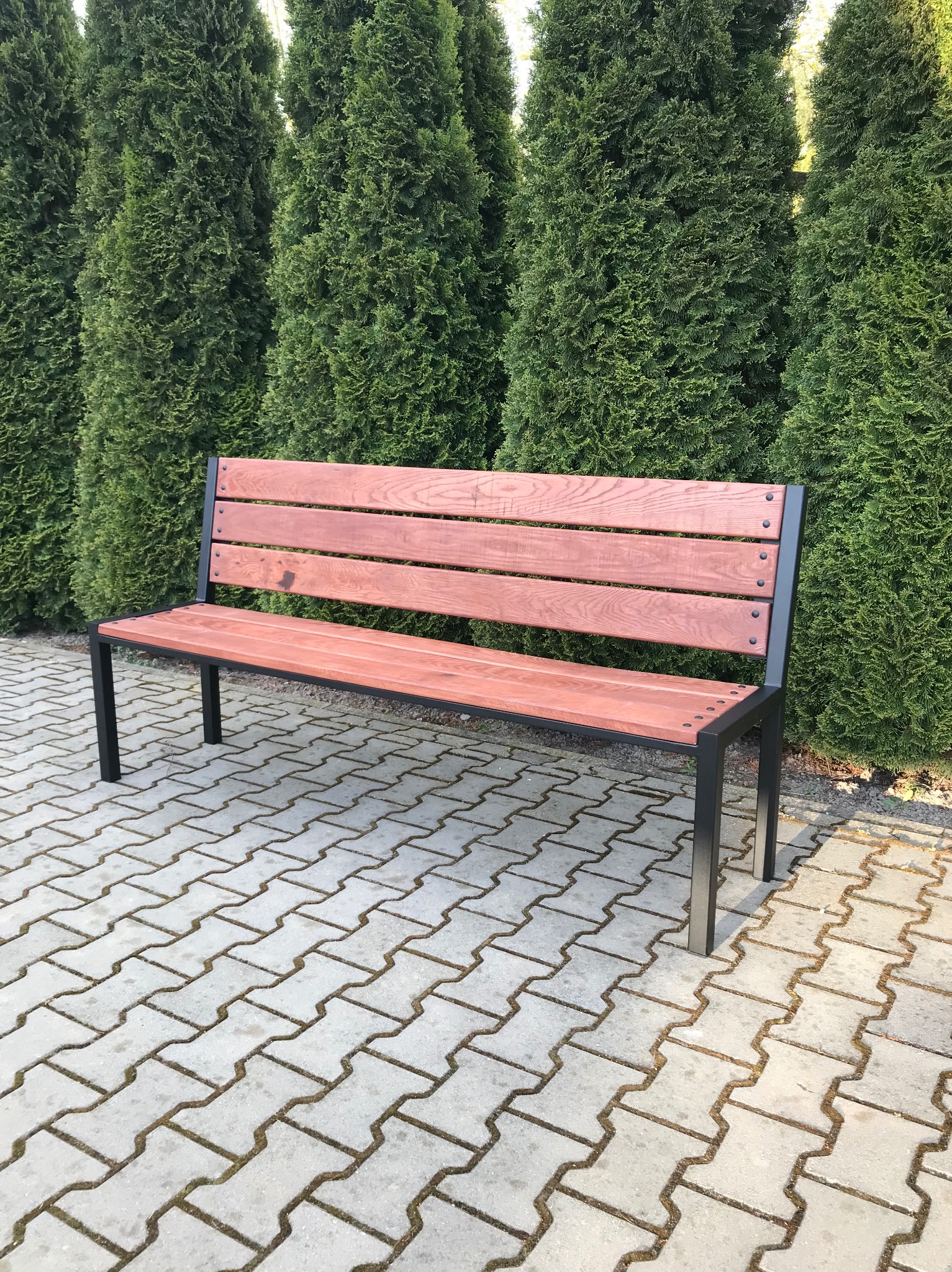 Ławka parkowa z drewnianym siedziskiem i oparciem w kolorze ciemnego orzecha oraz czarną metalową konstrukcją, ustawiona na kostce brukowej w Cielcach, na tle rzędu wysokich, zielonych tuj.