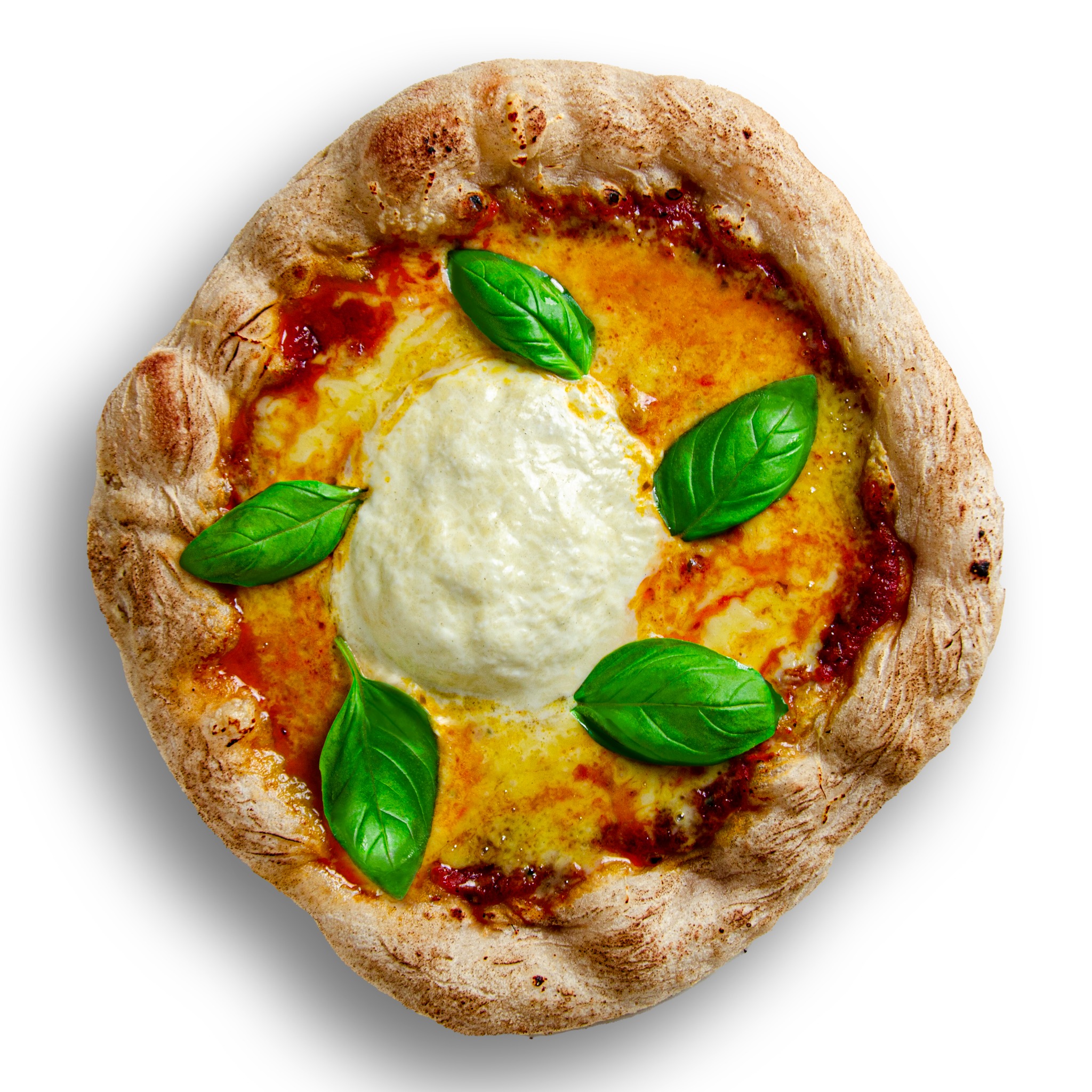 Apetyczna pizza margherita z kremową mozzarellą w centrum i świeżymi liśćmi bazylii, na cienkim, chrupiącym cieście, sfotografowana z góry na białym tle.