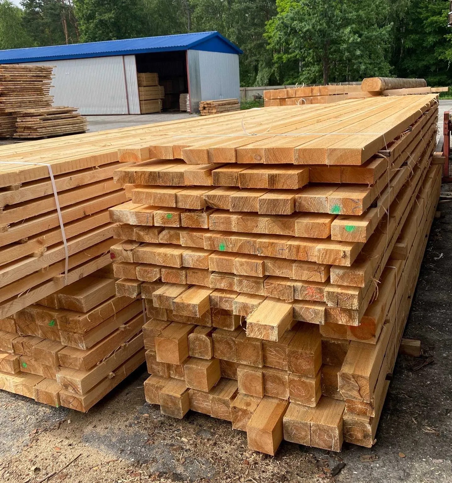 Stosy świeżo obrobionej tarcicy budowlanej z widocznymi zielonymi i czerwonymi oznaczeniami, ułożone na placu tartaku z magazynem w tle.
