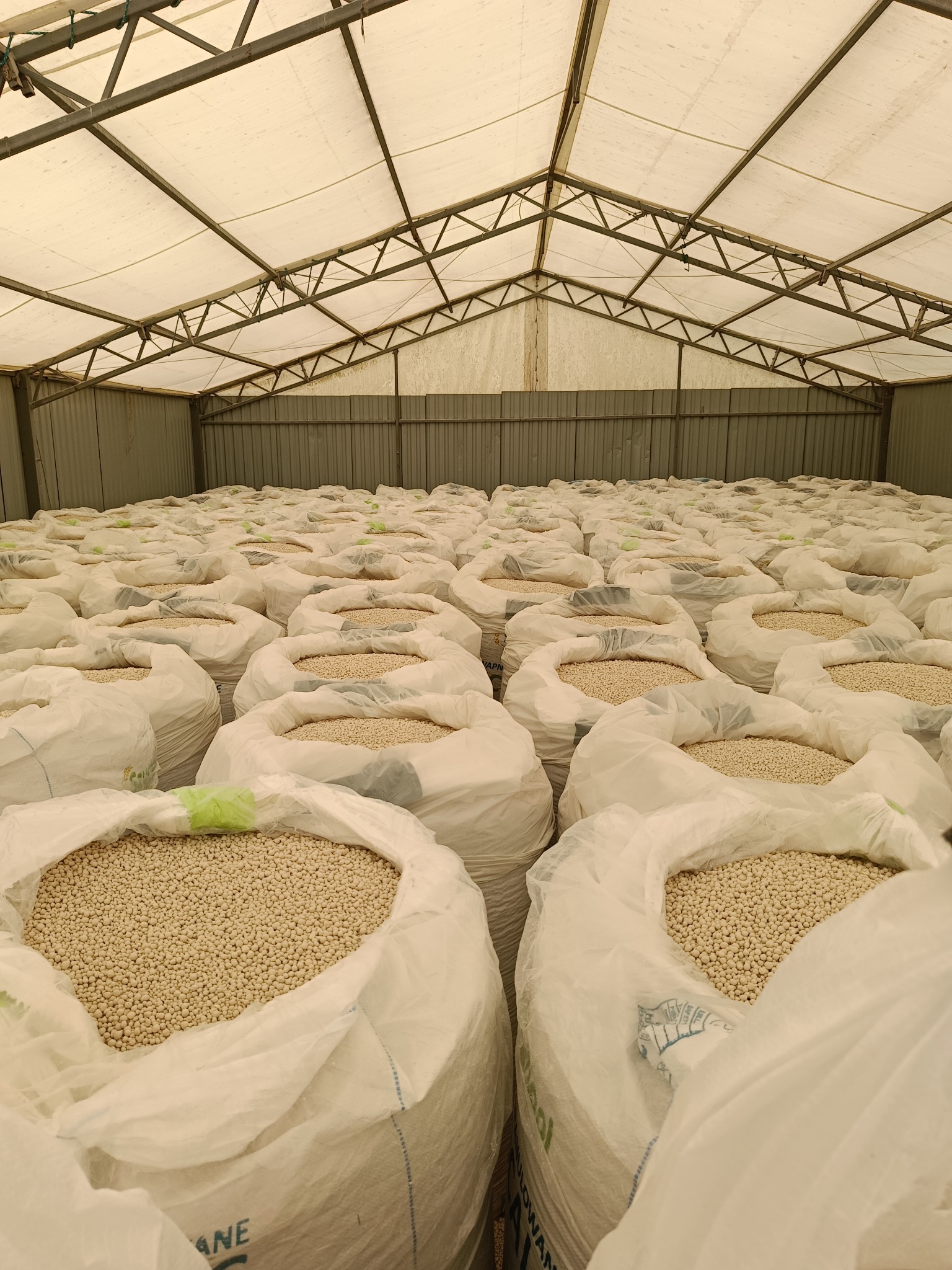 Magazyn wypełniony workami z granulowanym produktem rolniczym, widoczne metalowe elementy konstrukcji dachu i ścian hali.
