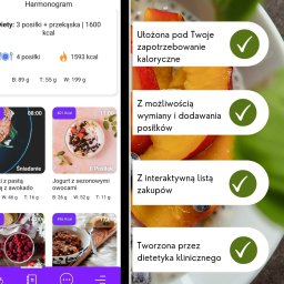 DietOn Poradnia dietetyczna - Aplikacja mobilna z harmonogramem diety, pokazująca propozycje posiłków, wartości kaloryczne i makroelementy, z informacjami o personalizacji, wymianie posiłków i interaktywnej liście zakupów,...