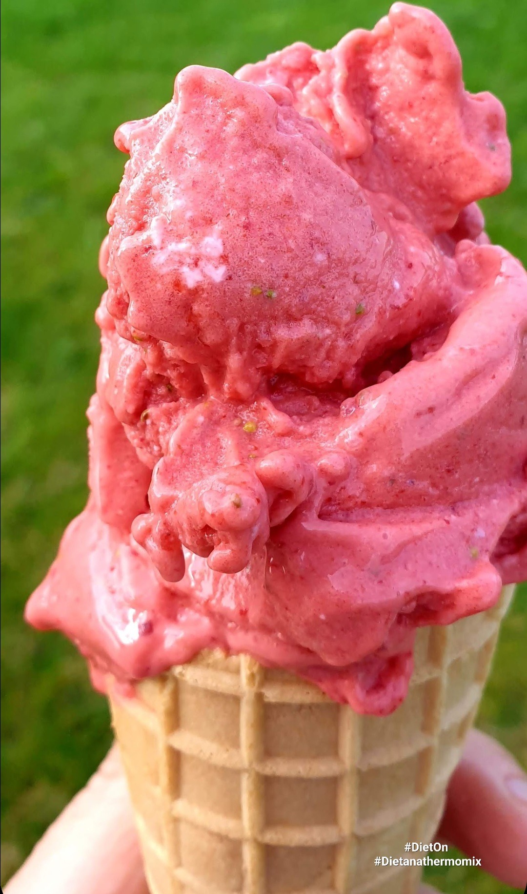 Kremowe, różowe lody owocowe w waflu, z widocznymi drobinkami owoców i delikatnym połyskiem, na tle zielonej trawy.