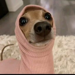 Paweł Tysionkiewicz - Malowanie Rzeszów