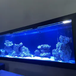 Wbudowane akwarium morskie z oświetleniem LED i dekoracją z jasnych skał, otoczone czarną ramą w salonie, widoczne z boku.