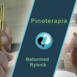 BOGDAN POCHCIOŁ NATURMED - Pionoterapia w gabinecie