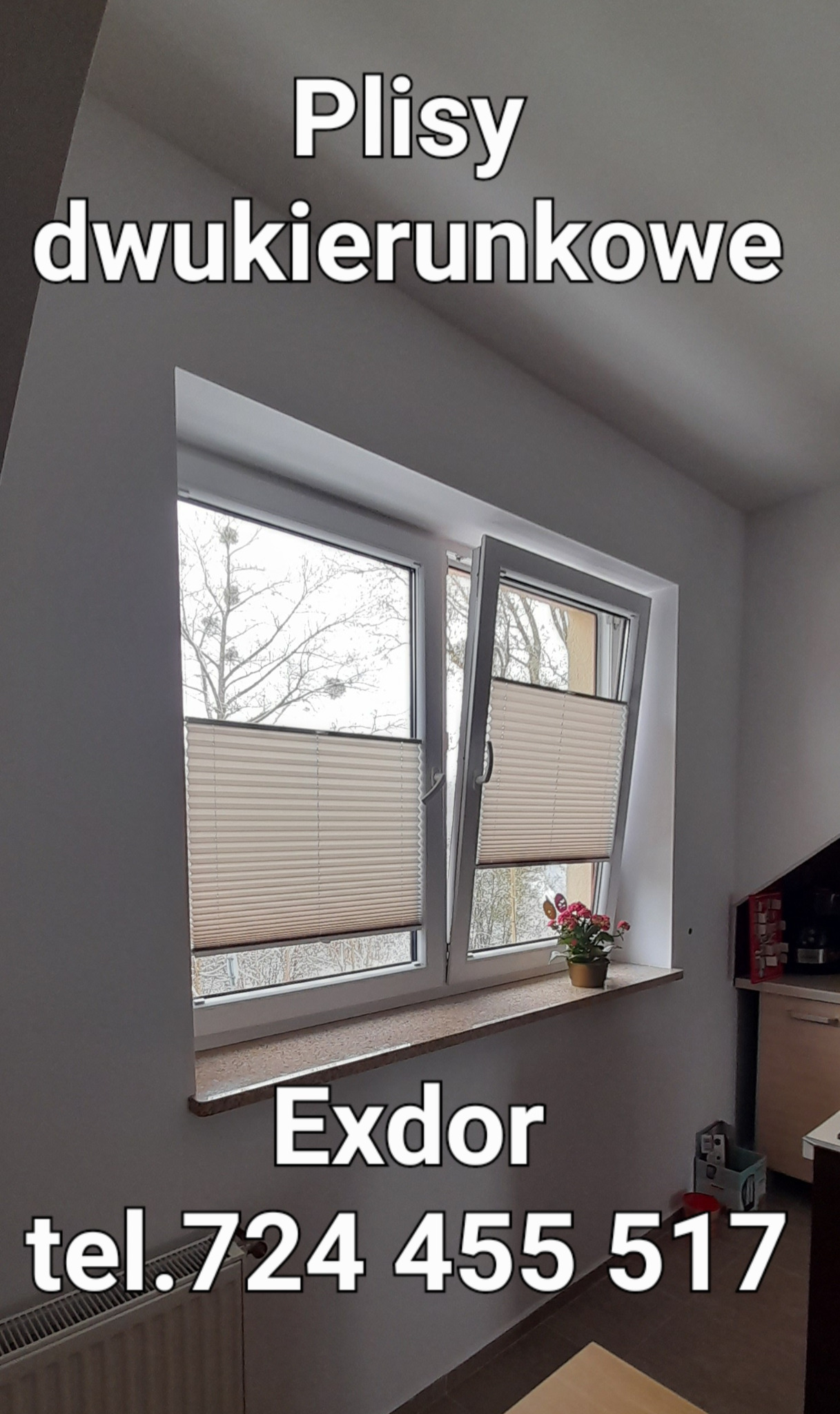 Dwukierunkowe osłony okienne plisowane w jasnym odcieniu, zamontowane w oknie z widokiem na drzewa, z częściowo uchylonym jednym skrzydłem okiennym i kwiatkiem doniczkowym na parapecie. Na zdjęciu...