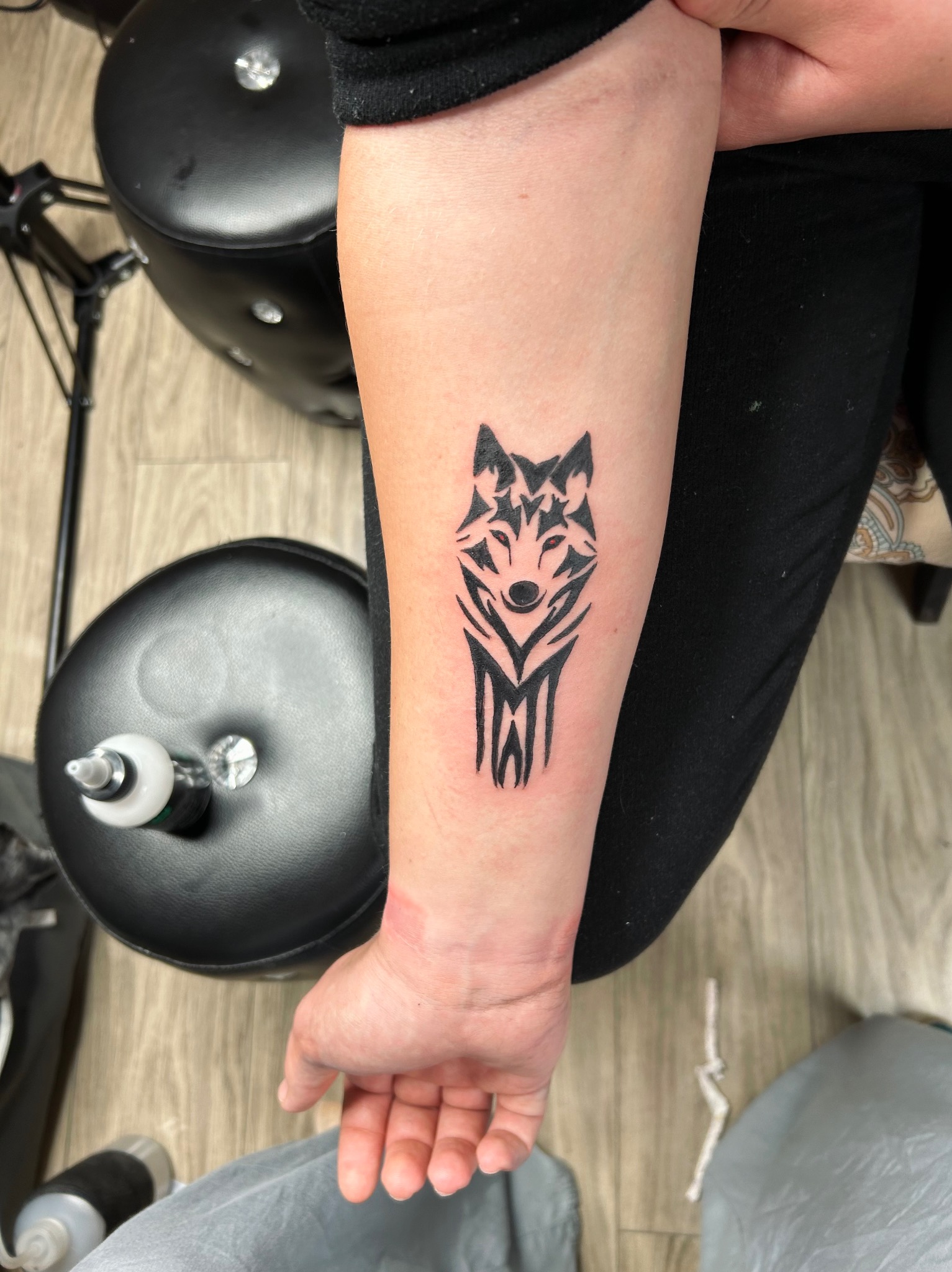 Świeżo wykonany czarny tatuaż wilka na przedramieniu kobiety, widoczny na tle czarnego krzesła i butelki z płynem do dezynfekcji.