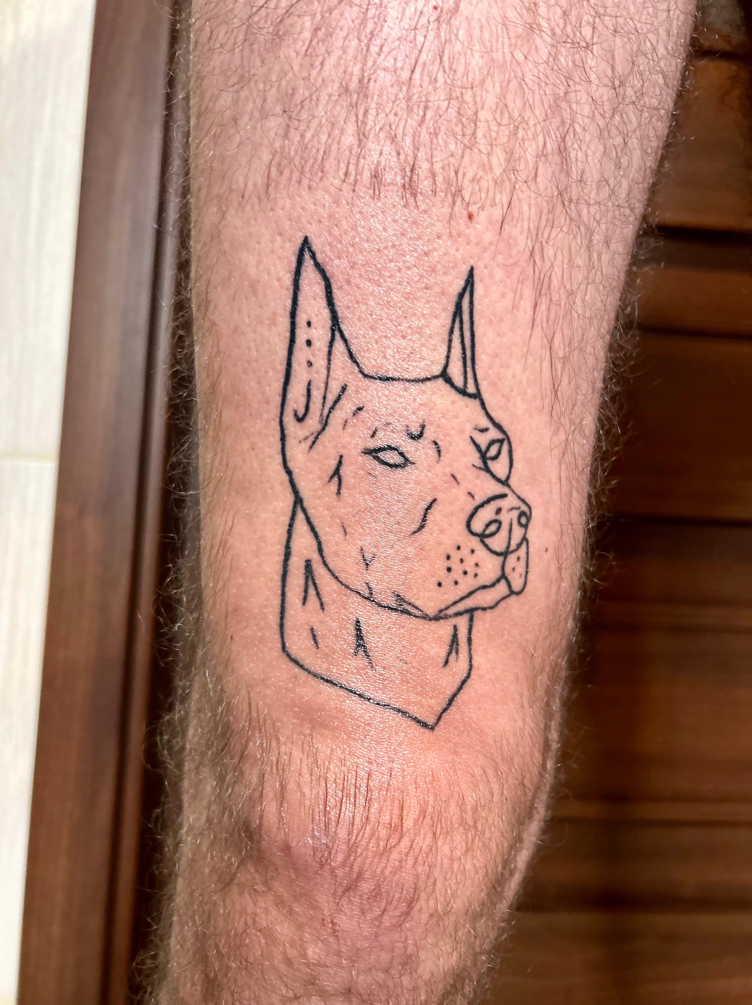 Czarno-biały tatuaż przedstawiający geometryczny portret dobermana na owłosionej nodze, widoczny na tle drewnianych drzwi.