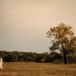 Para młoda w strojach ślubnych stoi na rozległej łące w odcieniach złota, z pojedynczym drzewem i lasem w tle, uchwycona w naturalnym świetle.