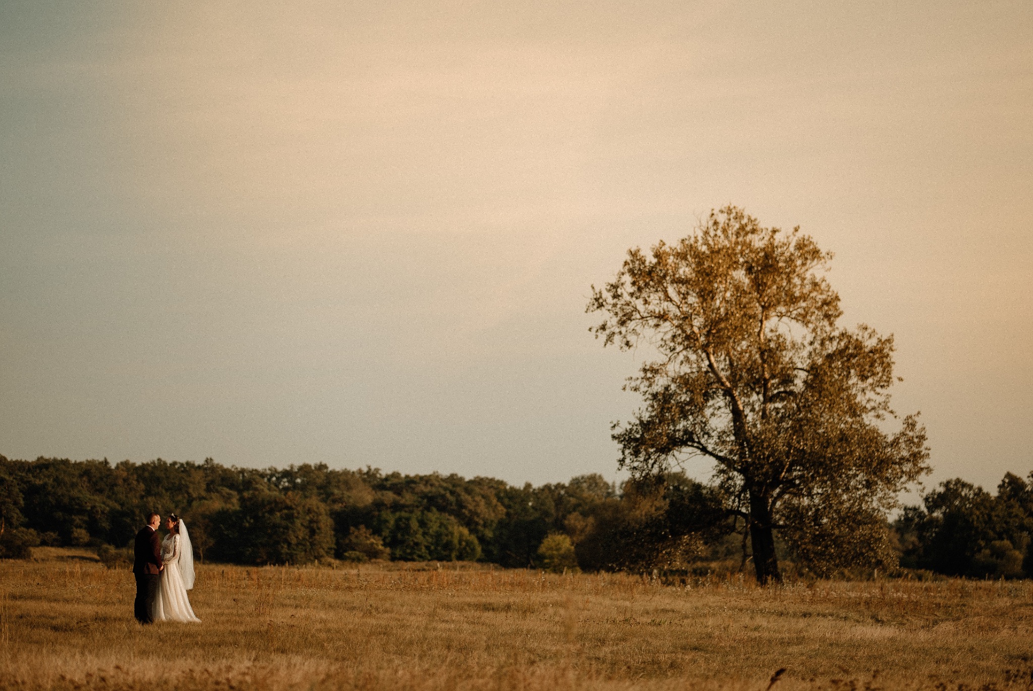 Para młoda w strojach ślubnych stoi na rozległej łące w odcieniach złota, z pojedynczym drzewem i lasem w tle, uchwycona w naturalnym świetle.