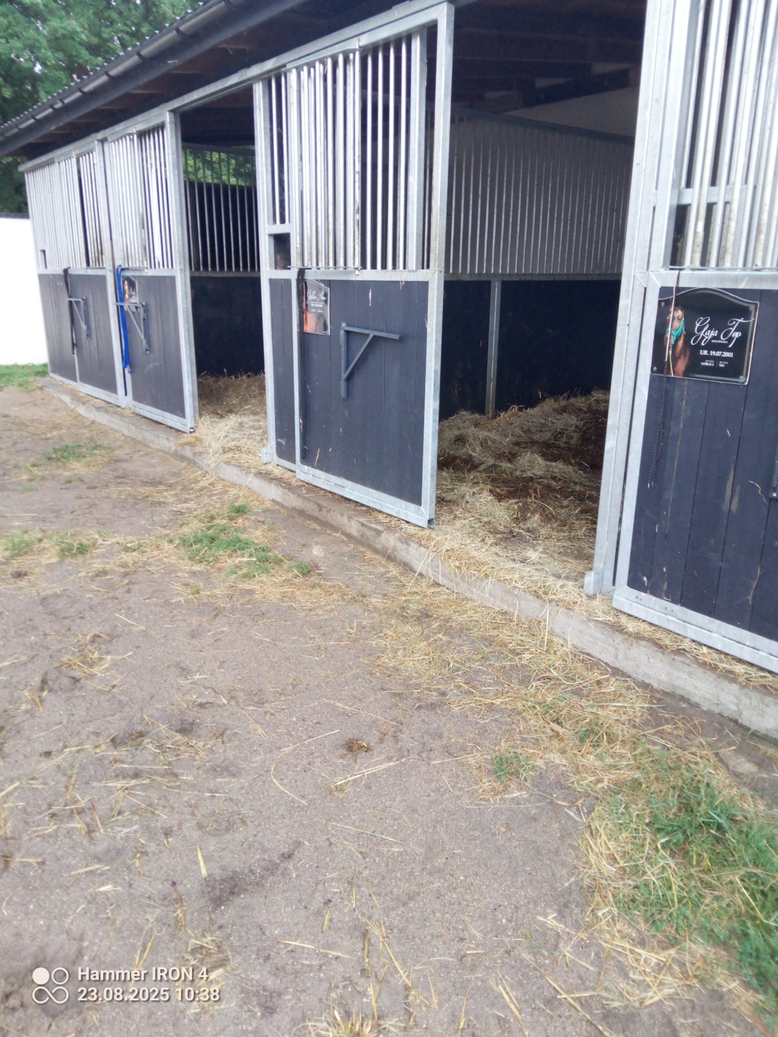 Rząd otwartych, metalowych boksów z ciemnymi, drewnianymi drzwiami i sianem w środku. Widoczne metalowe pręty i tabliczki z imionami.