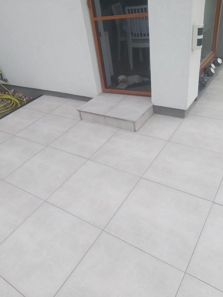 Jasnoszare płytki ułożone na tarasie przed wejściem do domu; w tle widoczny mały, biały pies leżący w progu.