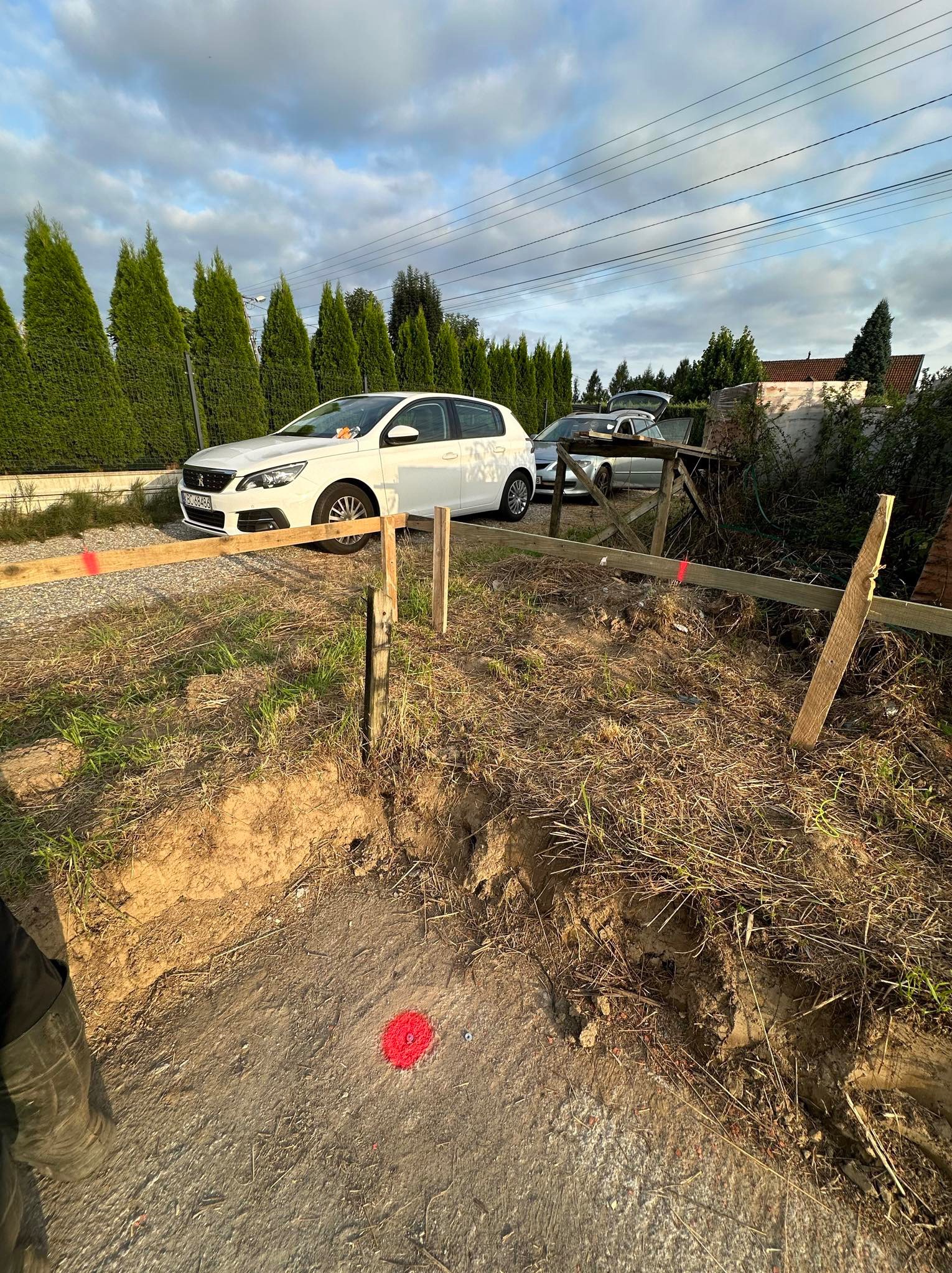 Wytyczanie fundamentów pod budowę domu z użyciem drewnianych słupków i desek, widoczne oznaczenia geodezyjne w postaci czerwonych punktów na ziemi, w tle dwa samochody osobowe i rząd wysokich tui.