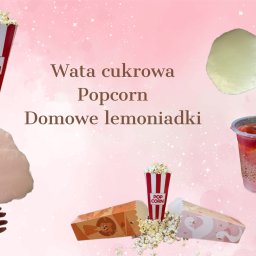 Animator dla dzieci Ksawerów 1