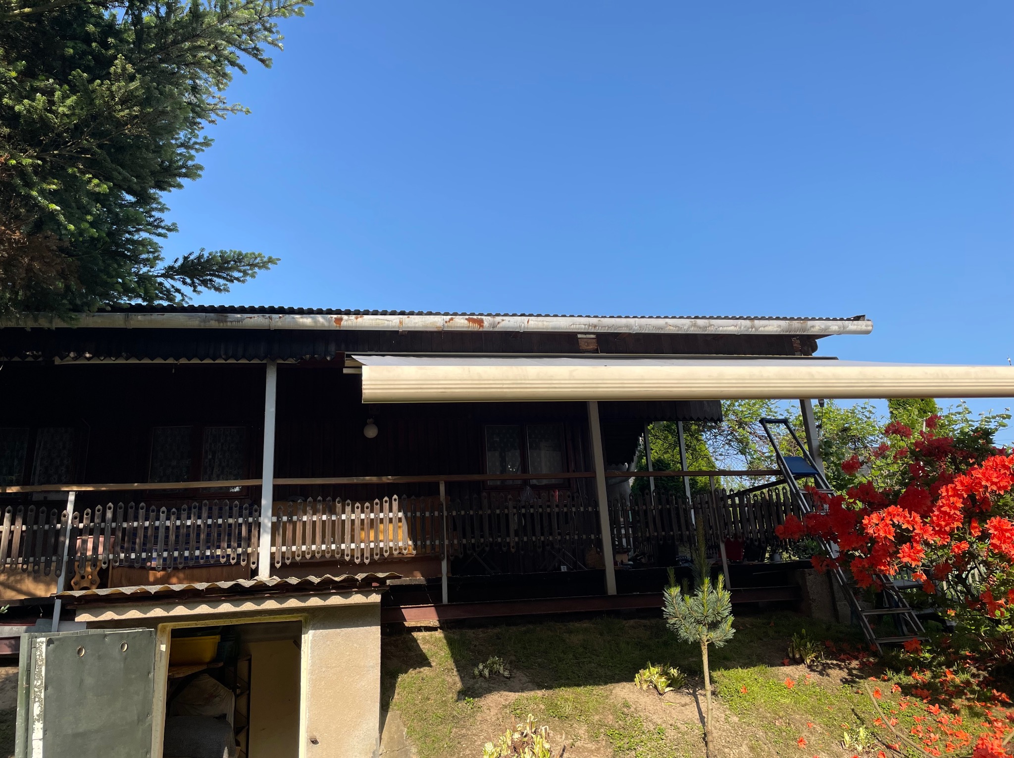 Widok na drewniany dom z zewnątrz, z rozwiniętą osłoną przeciwsłoneczną nad tarasem i kwitnącym rododendronem z boku.